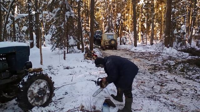 Трактор сороковка на делянке. смотреть онлайн