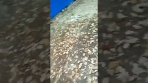 Подключение проводки фаркопа лады ларгус