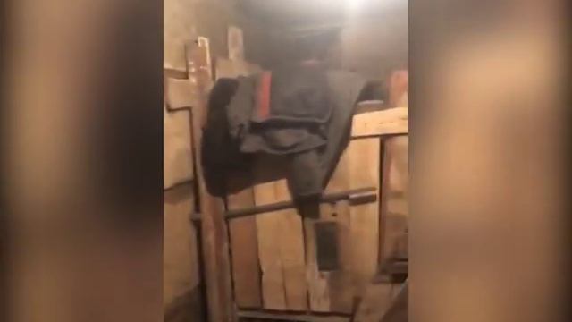 Затопленный нечистотами подвал в Ирбейском районе смотреть онлайн