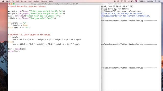 Elif (Else if) Explained | Continuing the Python Program (Python for Beginners) | Part 10 смотреть онлайн