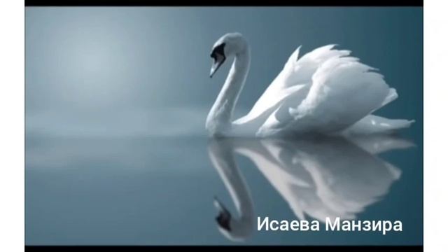Одинокая лебедь смотреть онлайн