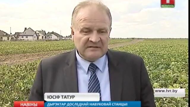 Сельхозорганизации центрального региона продолжают уборку сахарной свеклы смотреть онлайн