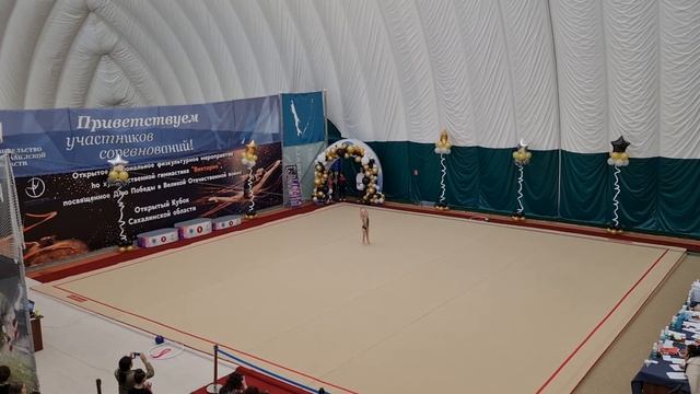 Художественная гимнастика смотреть онлайн