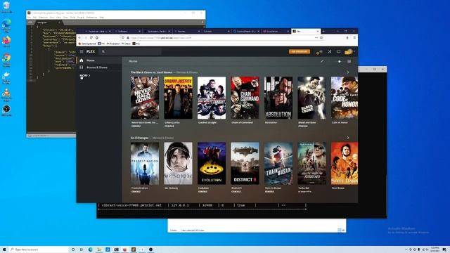 Self-hosting on Windows - Client Setup & Quick Tutorial смотреть онлайн