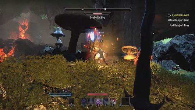 Elder Scrolls Online: Morrowind - Xbox One S смотреть онлайн