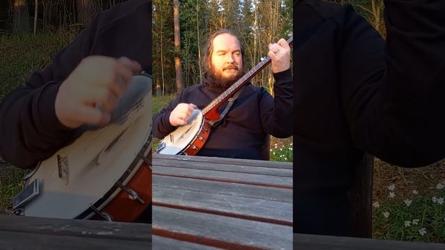 Ievan polkka (sanat Eino Kettunen) смотреть онлайн