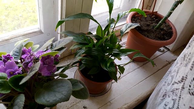 УТРЕННИЙ УХОД/ ЗАВТРАК-БОМБА/ЧТО ДАЛЬШЕ?/ ЧТО ДЕЛАТЬ НА КАРАНТИНЕ смотреть онлайн