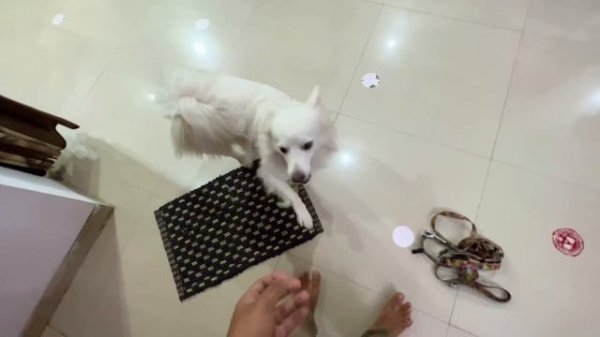 First time playing game on pc 😍