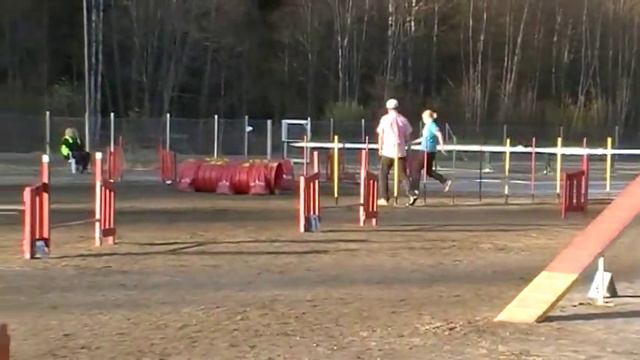 Helatorstai 2016 Sisko ja Docu смотреть онлайн