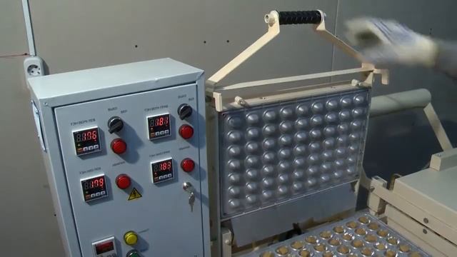 Технологическая линия для производства орешков со сгущенкой смотреть онлайн