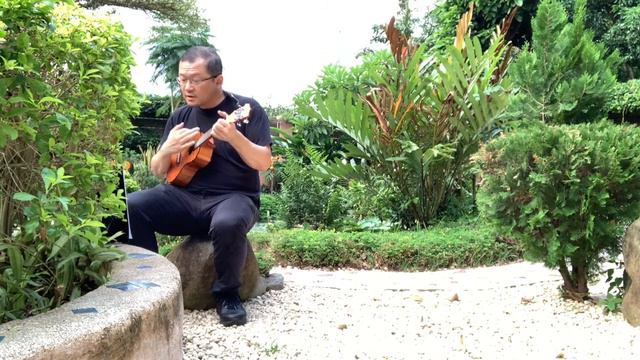 Somewhere Over Rainbow / Wonderful World - Israel Kamakawiwo'ole - Day 29 of 100 Days of Ukulele смотреть онлайн