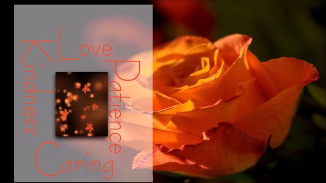 "The Last Rose of Summer" 🌿🌺🍁 смотреть онлайн