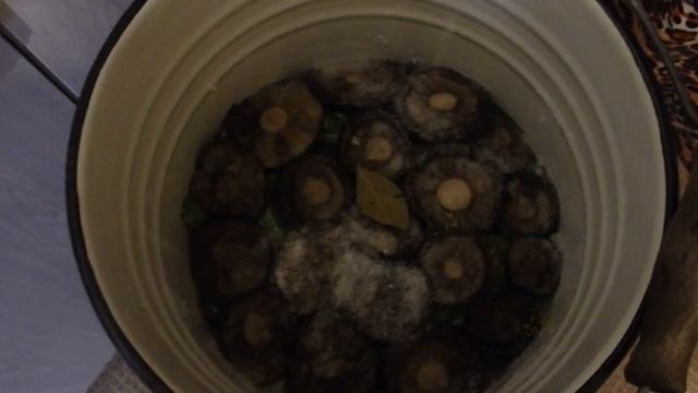 Наука и Исследования