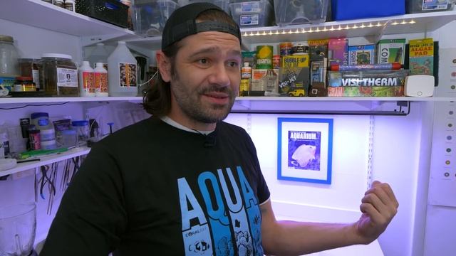 Abalones are the Roombas of Reef Tanks смотреть онлайн