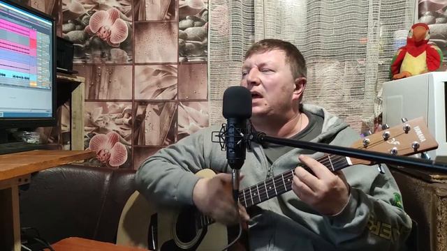33 коровы смотреть онлайн