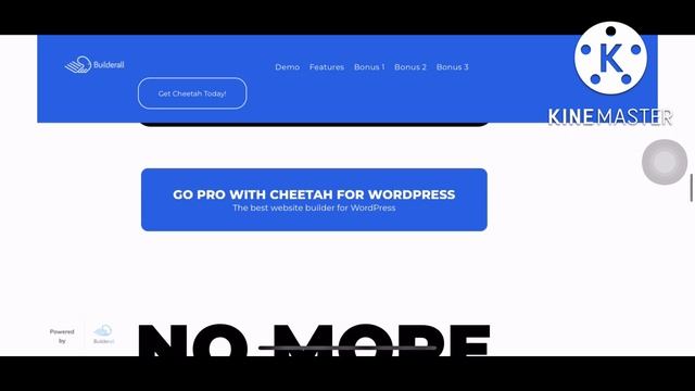 (Cheetah Wordpress)Review | is it worth for money❓❓❓ смотреть онлайн