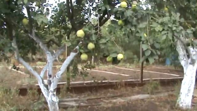 Наша дача :) смотреть онлайн