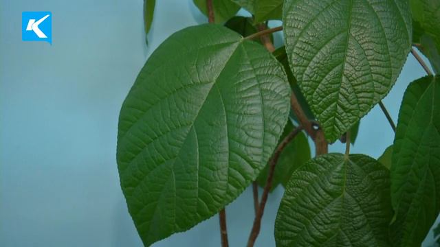 05 12 2019 Специалисты 12 шахты провели урок профориентации смотреть онлайн