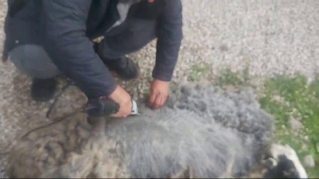 работа смотреть онлайн