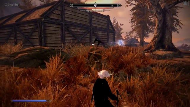 Skyrim - Additional Player Voices - Diana preset смотреть онлайн