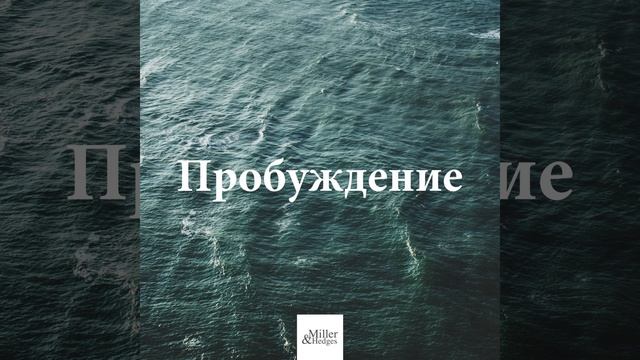 Дзен медитация смотреть онлайн