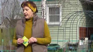 Метаризин поможет в борьбе с насекомыми вредителями