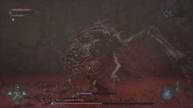Lords of the Fallen: Congregator of Flesh Boss Fight смотреть онлайн