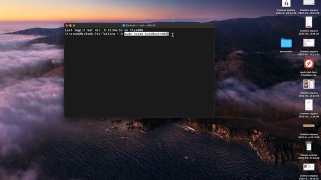 Как отключить автоматический запуск MacBook Pro и MacBook Air при открытии крышки (для чипов Intel) смотреть онлайн