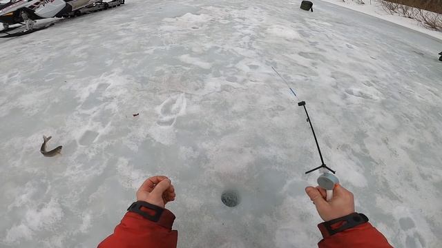 Экстримальная рыбалка! За хариусом на горную реку. Часть 1 смотреть онлайн