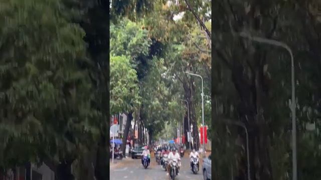 MÙA CHÒ BAY | Pasteur Street. смотреть онлайн