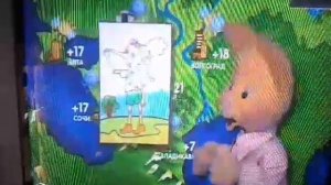 Погода на канале карусель