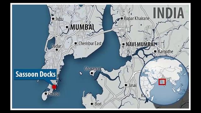 Lost species of Ganges river shark is seen for the first time in a decade смотреть онлайн