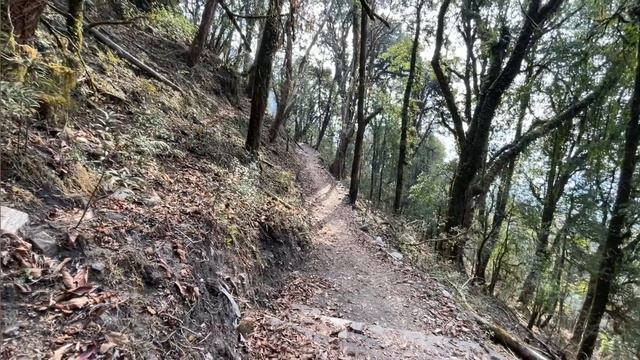 Mardi himal trek || Amazing Mardi himal || Midwintertrek || 3 Days trek || Pokhara || Lakeside || смотреть онлайн