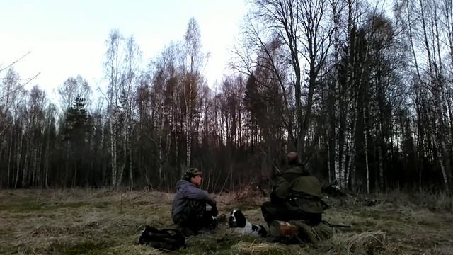 Неизвестное ЖИВОТНОЕ попало в кадр на ОХОТЕ на Вальдшнепа смотреть онлайн