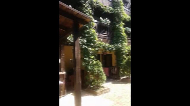 Вертикальное озеленение. смотреть онлайн