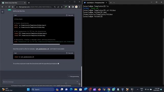 ChatGPT's to Crafting Linux Shell Scripts ! смотреть онлайн