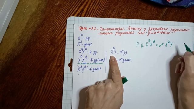 урок 22 "Может ли у здоровых родителей родиться сын-дальтоник" смотреть онлайн