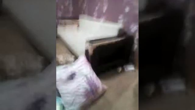 Коля делает кувырок и Я