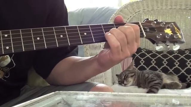 Lyle Acoustic guitar demo смотреть онлайн