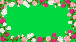 Фон. Рамка цветы розы на зеленом и черном фоне блестки | Бесплатные футажи для видео монтажа.