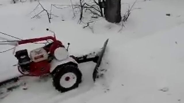 SalutHonda.flv смотреть онлайн