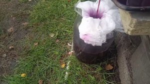 Пресс для отжима винограда,своими руками.