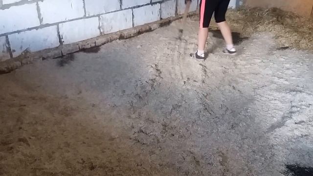 Льняная костра FlaxCom смотреть онлайн