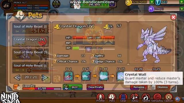 SKILL REVIEW: CRYSTAL DRAGON (IV) - NINJA SAGA смотреть онлайн
