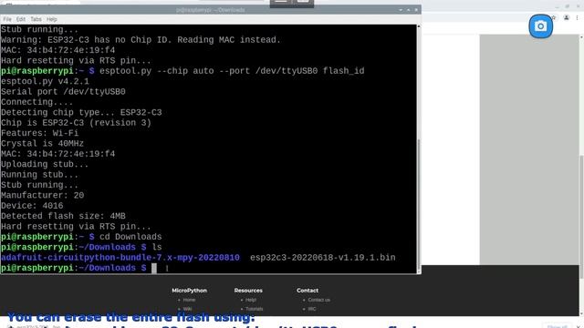 Install esptool.py on Raspberry Pi OS and flash MicroPython firmware on NodeMCU ESP-C3-32S-Kit смотреть онлайн