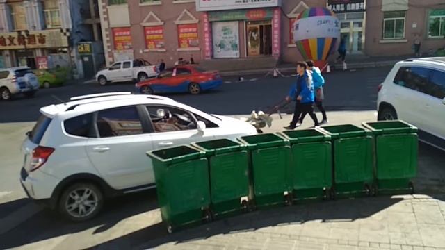 Как я съездил в Фуюань (抚远镇, Fǔyuǎn zhèn) смотреть онлайн
