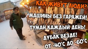 Как живут люди в самом холодном городе в мире