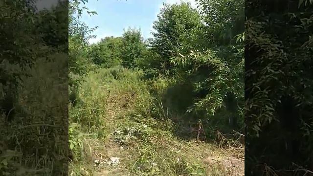 Upland Game Habitat смотреть онлайн