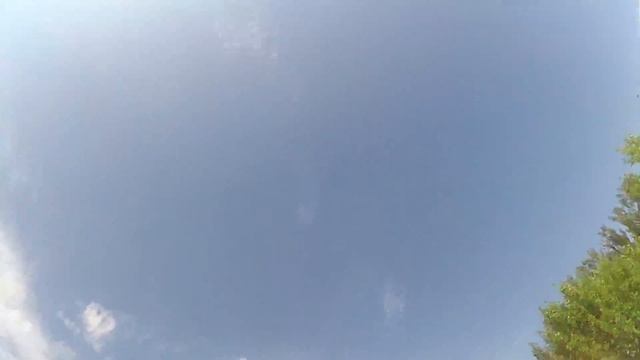 Тутовник смотреть онлайн