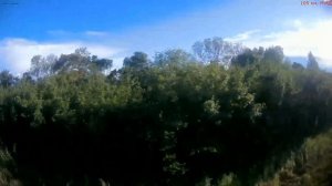 Железная дорога Касторная-Кур. - Кшень - Удобрительная  (вид из окна поезда, южная сторона) (МЖД)